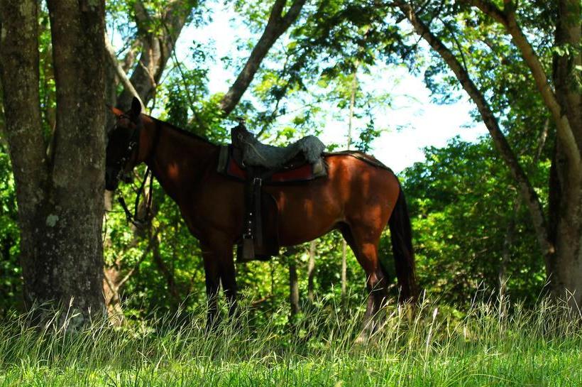 Hotel Lagotours | San Jerónimo | Antioquia | Colombia 10