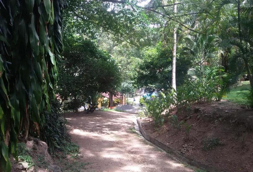 Hotel El Tesoro | San Jerónimo | Antioquia | Colombia 15