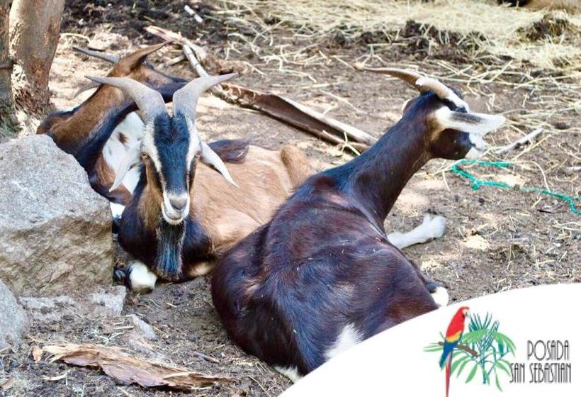 Hotel Spa Posada San Sebastian | San Jerónimo | Antioquia | Colombia 4