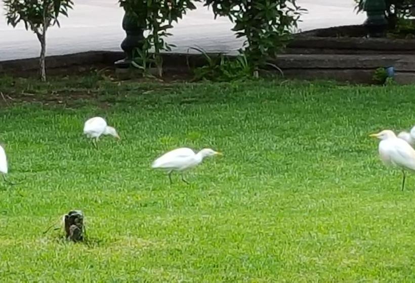 Paposo Inn Hostel | Taltal | Antofagasta | Chile 3