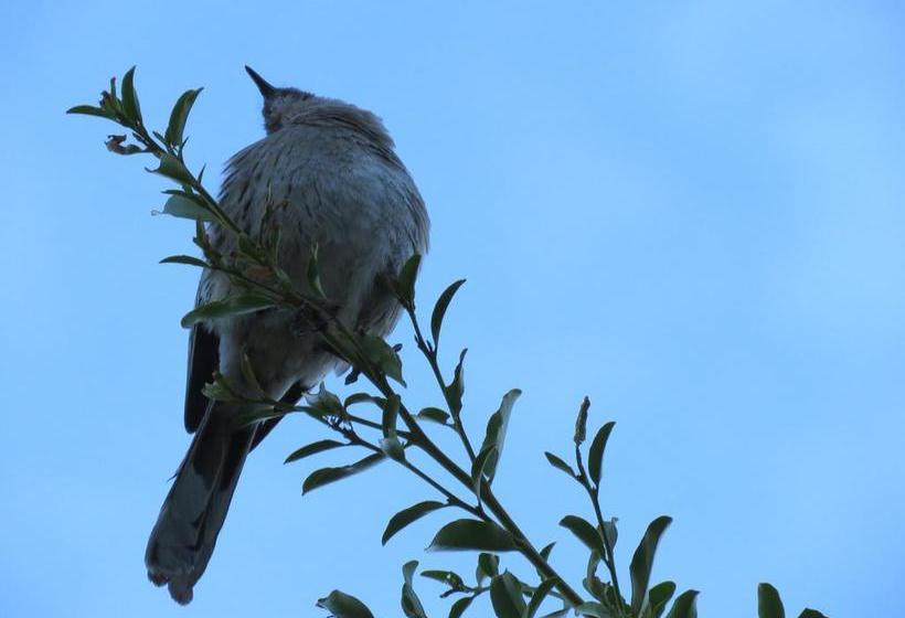 Bed and Breakfast Refugio Ecologico