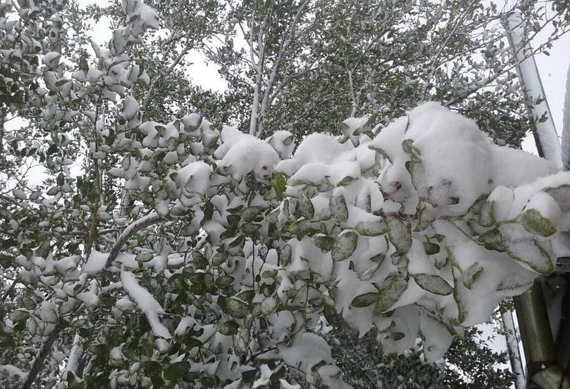 Bed and Breakfast Refugio Ecologico | San José de Maipo | Santiago | Chile 15