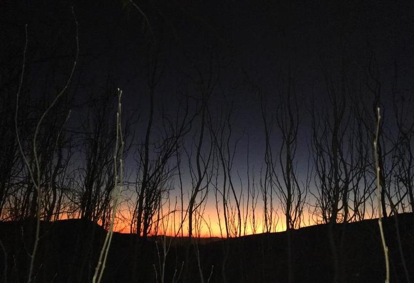 Bed and Breakfast Refugio Ecologico | San José de Maipo | Santiago | Chile 20