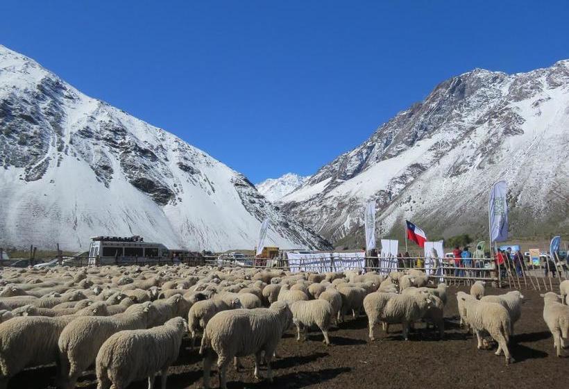 Bed and Breakfast Refugio Ecologico | San José de Maipo | Santiago | Chile 3