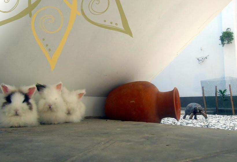 Atma Hostel & Yoga | Huanchaco | Trujillo | Perú 2