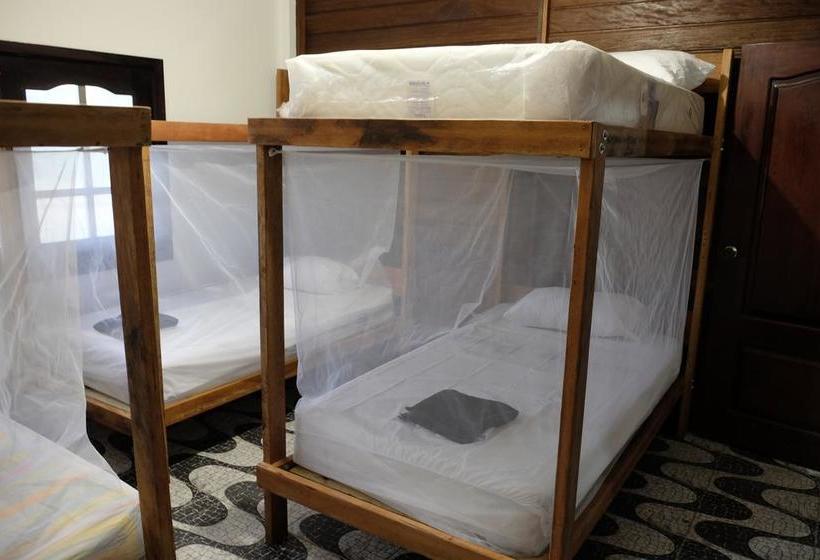 Albergue Fulano Amazon | Leticia | Amazonas | Colombia 10