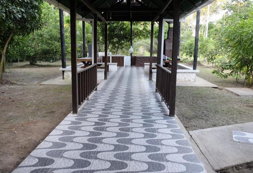 Albergue Fulano Amazon | Leticia | Amazonas | Colombia 13