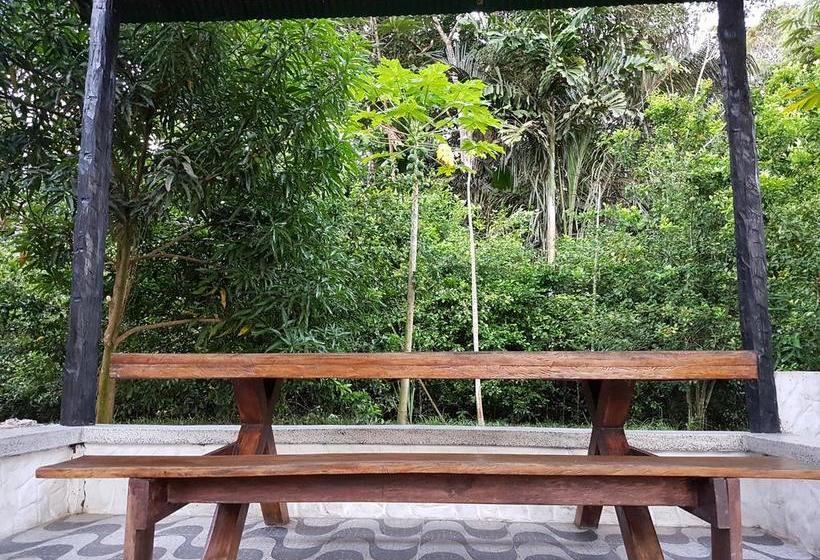 Albergue Fulano Amazon | Leticia | Amazonas | Colombia 15