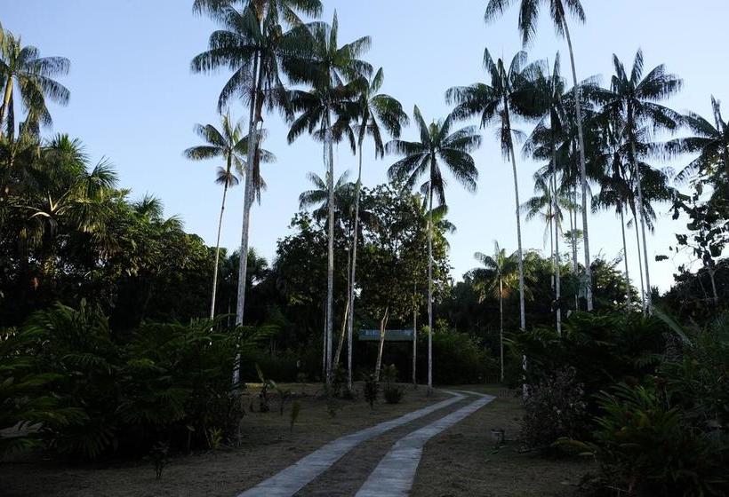 Albergue Fulano Amazon | Leticia | Amazonas | Colombia 6