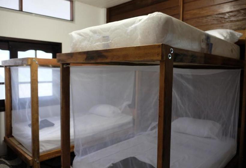Albergue Fulano Amazon | Leticia | Amazonas | Colombia 7