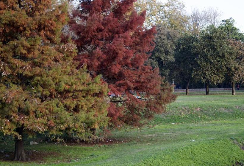 Cane B&b | Montevideo | Montevideo | Uruguay 18