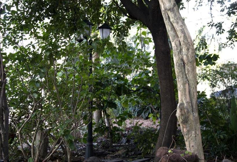 Cane B&b | Montevideo | Montevideo | Uruguay 5