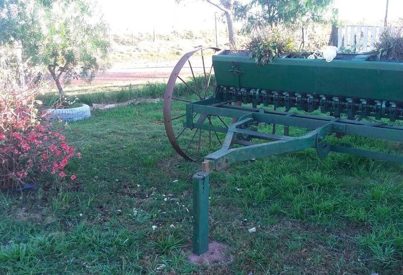 Bed and Breakfast Casa Quinta | Mercedes | Soriano | Uruguay 9