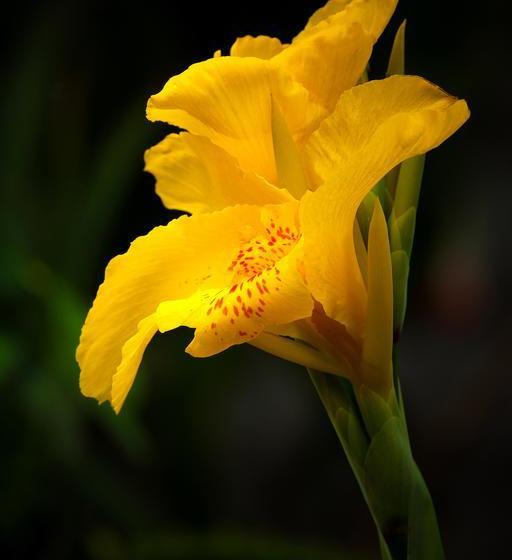 Bed and Breakfast Casa Mindala | Otavalo | Imbabura | Ecuador 15