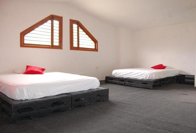 Albergue Las Dolomitas | Salento | Quindío | Colombia 8