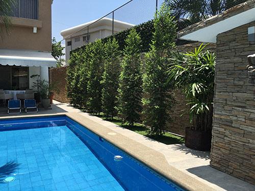 Bed and Breakfast Puerto Azul | Guayaquil | Guayas | Ecuador 10