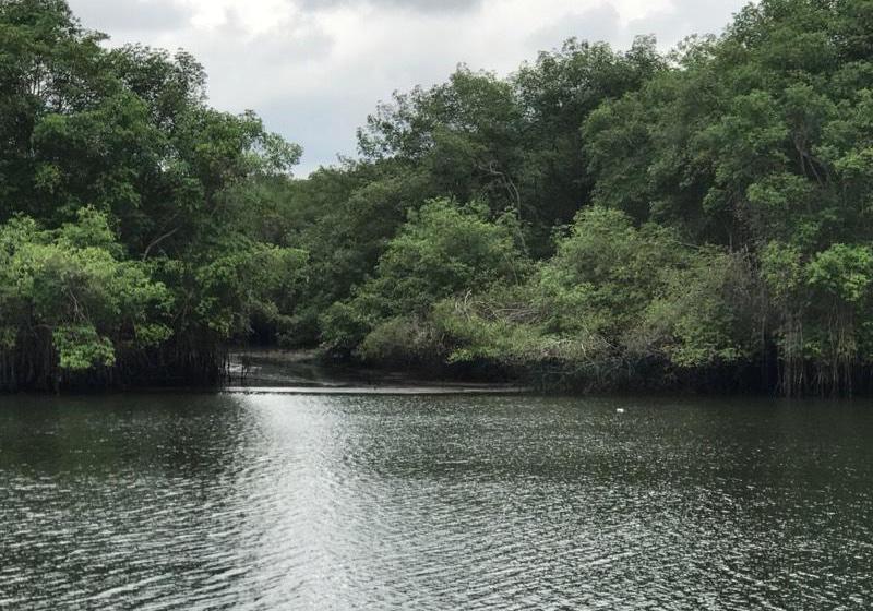 Bed and Breakfast Puerto Azul | Guayaquil | Guayas | Ecuador 2