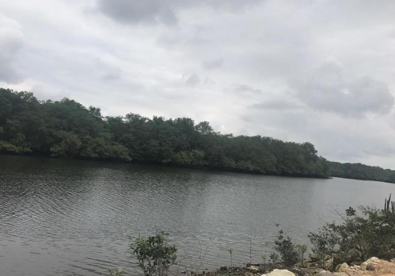 Bed and Breakfast Puerto Azul | Guayaquil | Guayas | Ecuador 3