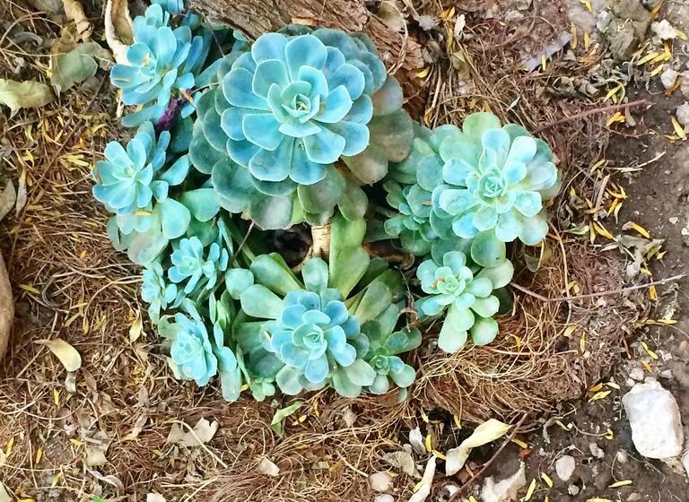 Casa España B&b | Cochabamba | Bolivia | América del Sur 11