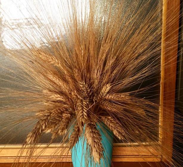 Casa España B&b | Cochabamba | Bolivia | América del Sur 13