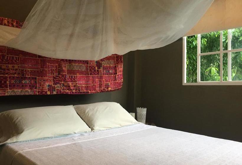 Bed and Breakfast Casa Juana Palomino | Palomino | La Guajira | Colombia 11