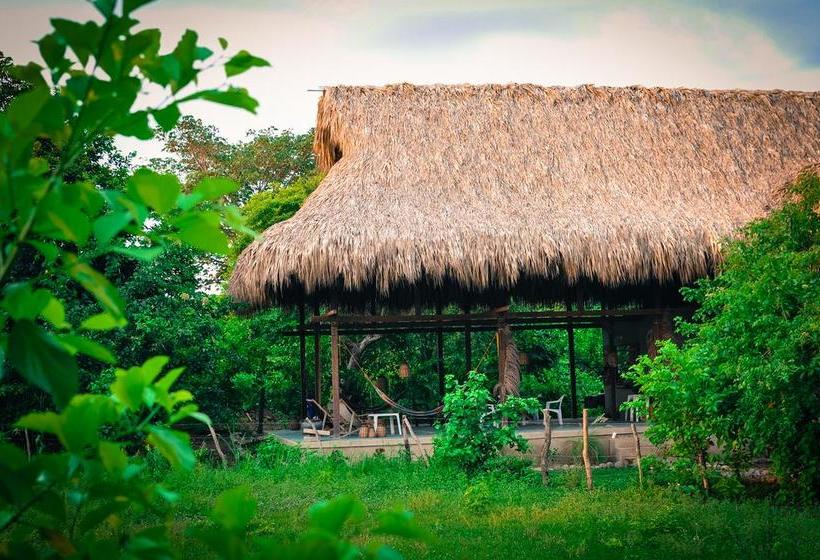 Bed and Breakfast Casa Juana Palomino | Palomino | La Guajira | Colombia 12