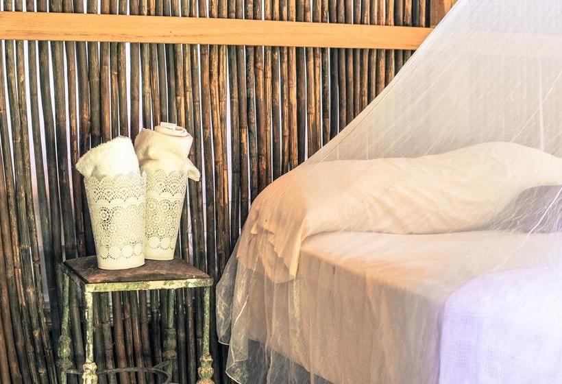 Bed and Breakfast Casa Juana Palomino | Palomino | La Guajira | Colombia 15