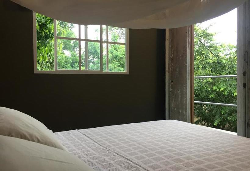 Bed and Breakfast Casa Juana Palomino | Palomino | La Guajira | Colombia 16