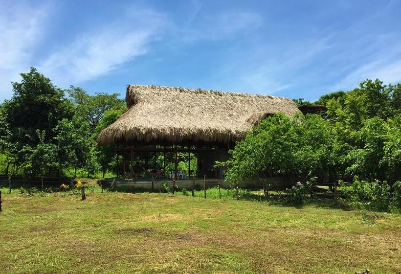 Bed and Breakfast Casa Juana Palomino | Palomino | La Guajira | Colombia 18