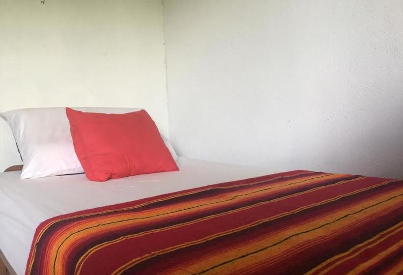 Bed and Breakfast Casa Juana Palomino | Palomino | La Guajira | Colombia 3