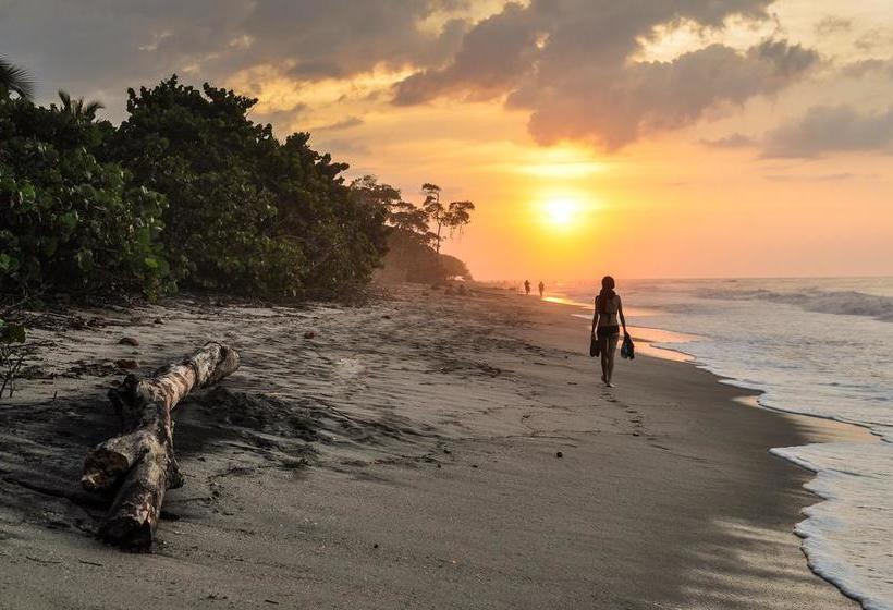 Bed and Breakfast Casa Juana Palomino | Palomino | La Guajira | Colombia 6