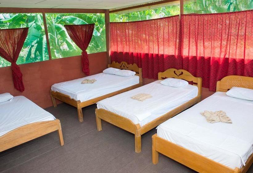 Hospedaria Wimba Expeditions | Iquitos | Maynas | Peru 20