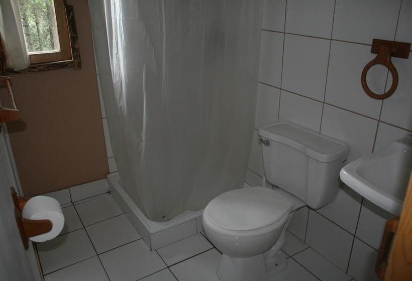 Bed and Breakfast Hostal Salamandras | Coihaique | Aysén | Chile 11