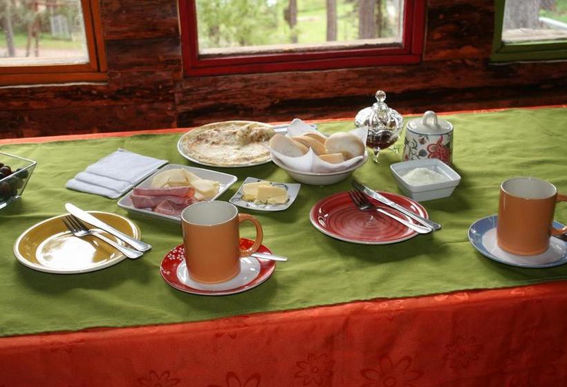 Bed and Breakfast Hostal Salamandras | Coihaique | Aysén | Chile 16