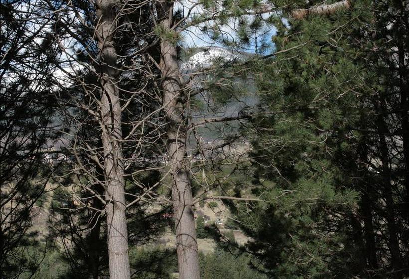 Bed and Breakfast Hostal Salamandras | Coihaique | Aysén | Chile 18