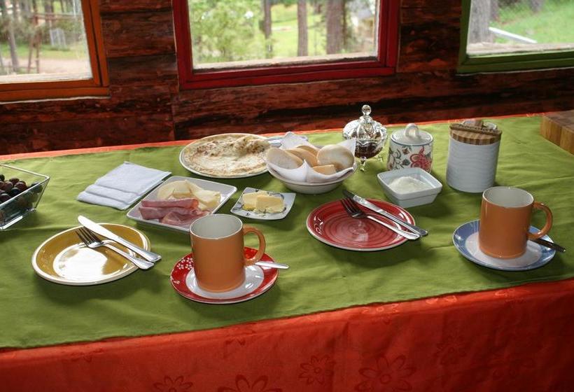 Bed and Breakfast Hostal Salamandras | Coihaique | Aysén | Chile 2