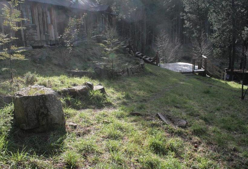 Bed and Breakfast Hostal Salamandras | Coihaique | Aysén | Chile 20