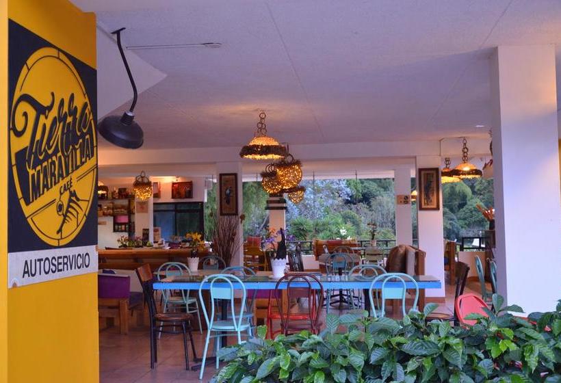 Hotel Tierra Maravilla | Salento | Quindío | Colombia 12