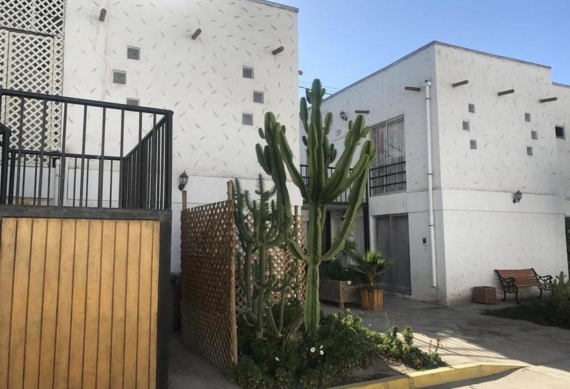 Hotel Jardines De Atacama | Copiapó | Atacama | Chile 11