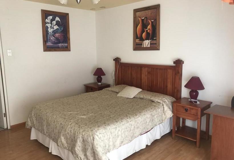 Hotel Jardines De Atacama | Copiapó | Atacama | Chile 15