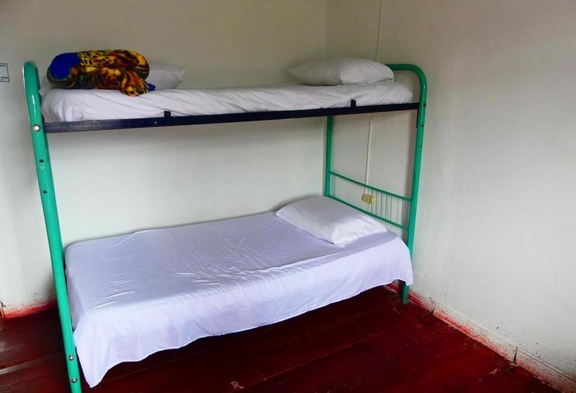 Hotel Hostal Vive Salento | Salento | Quindío | Colombia 2