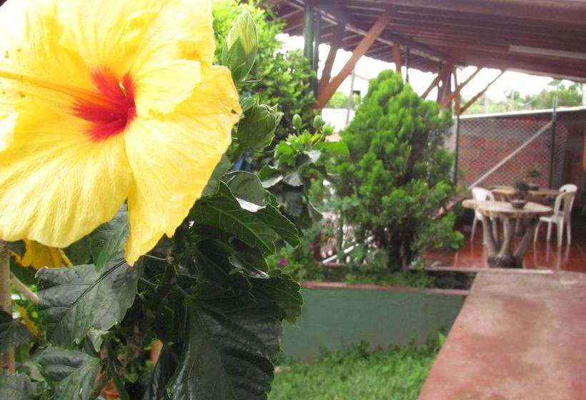 Finca Hotel La Palmita | Montenegro | Quindío | Colombia 14