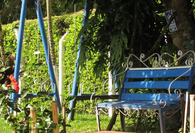 Finca Hotel La Palmita | Montenegro | Quindío | Colombia 2