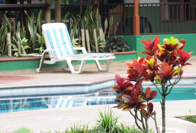 Finca Hotel La Palmita | Montenegro | Quindío | Colombia 3