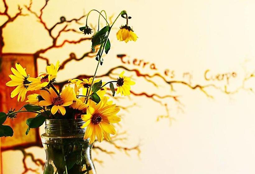 Albergue Hostal Joshua | Copacabana | Bolivia | América del Sur 11