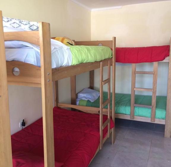 Albergue Hugo Restaurante Y | Ica | Ica | Perú 14