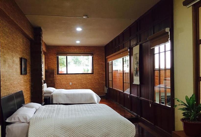 Albergue Quito Terrace | Quito | Pichincha | Ecuador 17