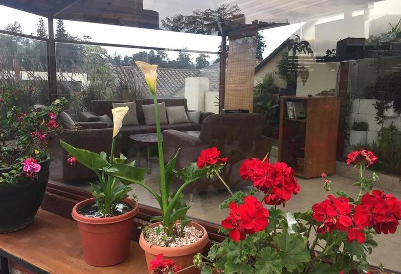 Albergue Quito Terrace | Quito | Pichincha | Ecuador 20