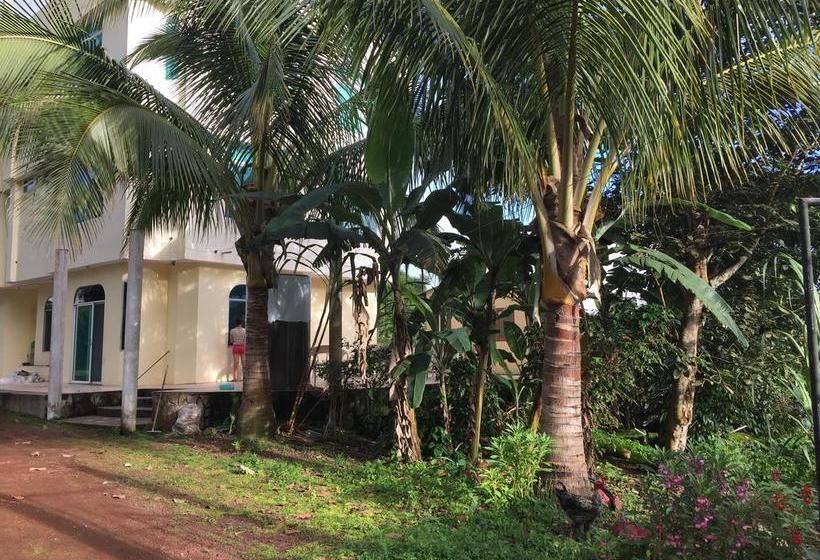 Hotel Blue Shark Galapagos | Puerto Ayora | Galápagos | Ecuador 14