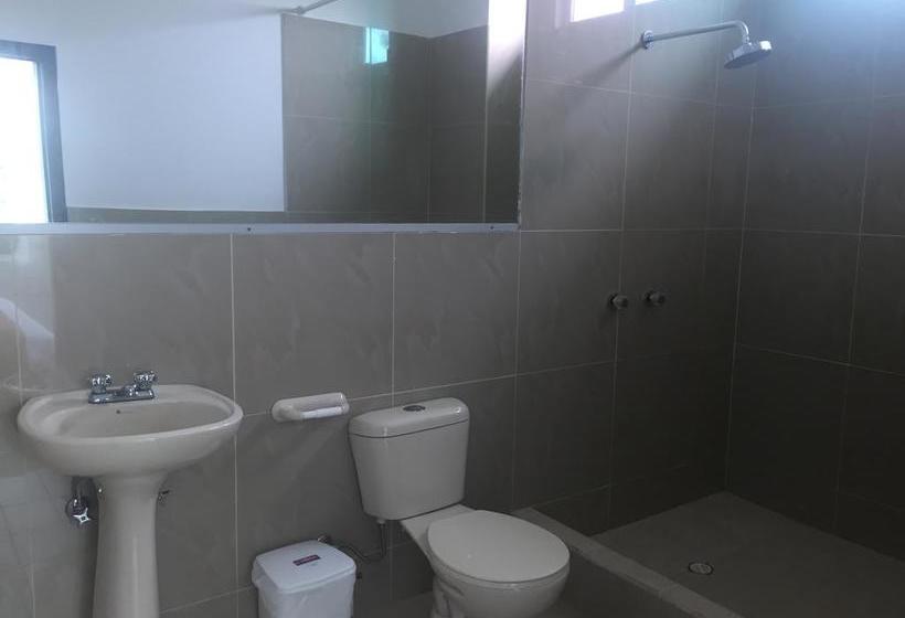 Hotel Blue Shark Galapagos | Puerto Ayora | Galápagos | Ecuador 20